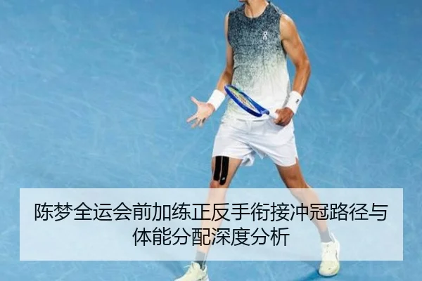 陈梦全运会前加练正反手衔接冲冠路径与体能分配深度分析